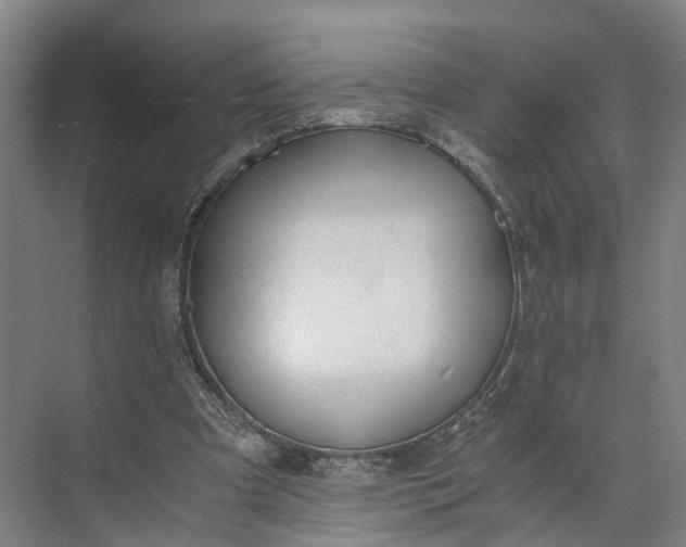 X0000073490297200608140849