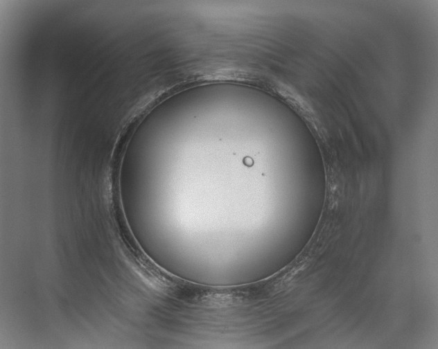 X0000073490298200608140849