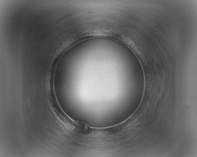 X0000073490299200608140849