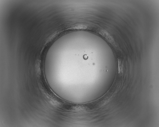 X0000073490300200608140849