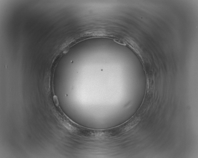 X0000073490301200608140849