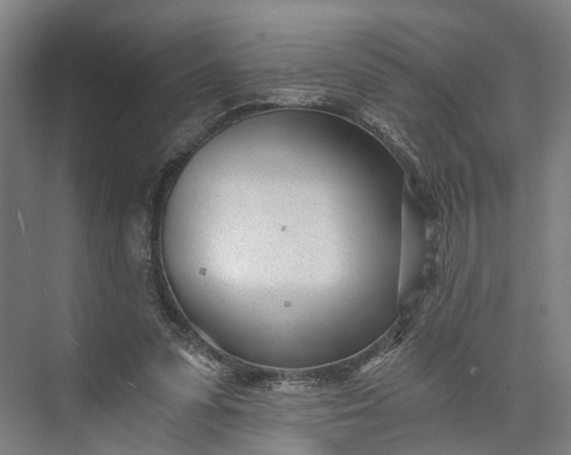 X0000073490303200608140849