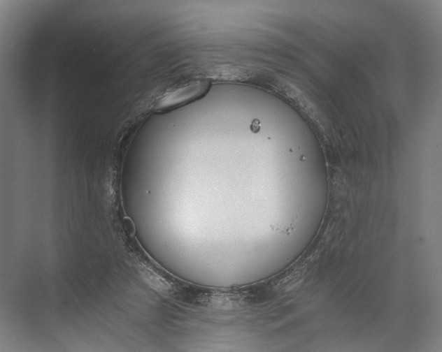 X0000073490305200608140849