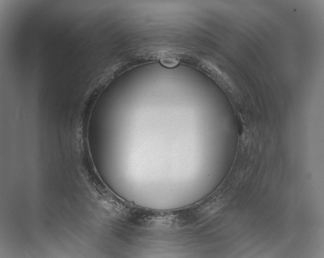 X0000073490306200608140849