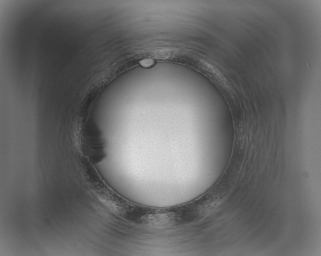 X0000073490307200608140849