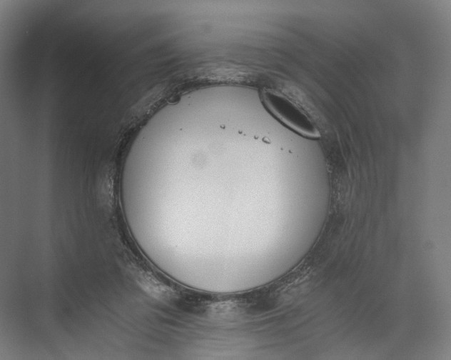 X0000073490309200608140849