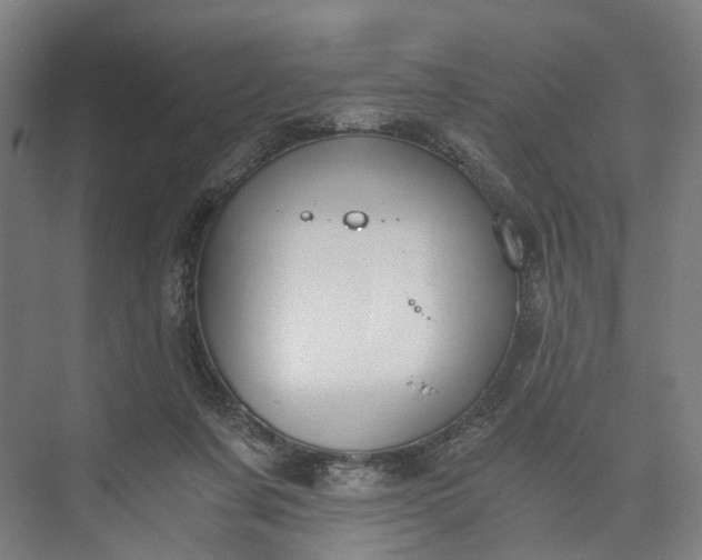 X0000073490311200608140849