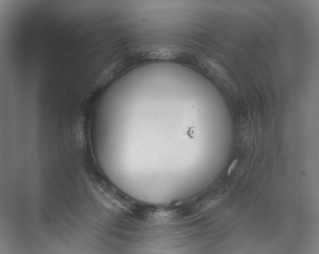 X0000073490312200608140849