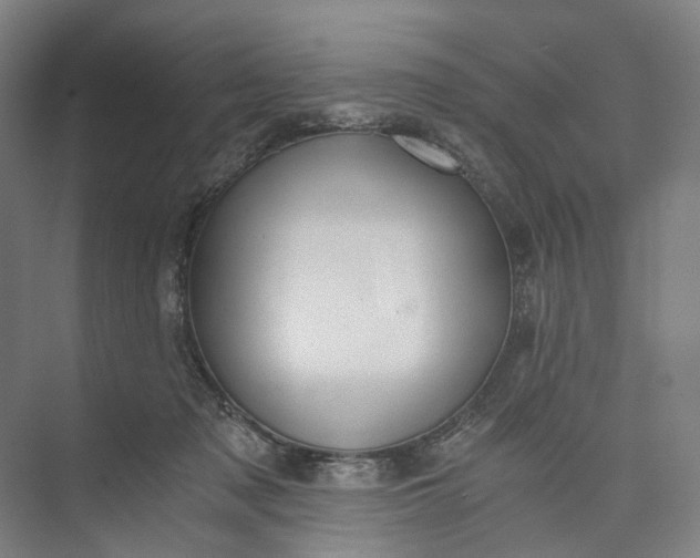 X0000073490317200608140849