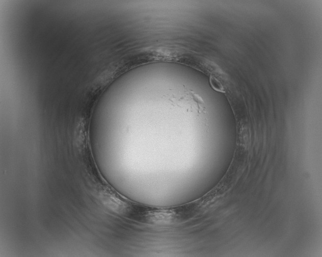 X0000073490318200608140849