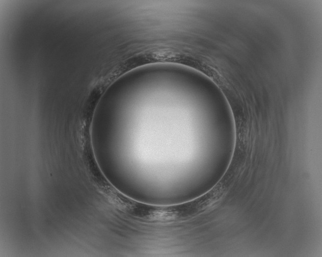 X0000073490319200608140849