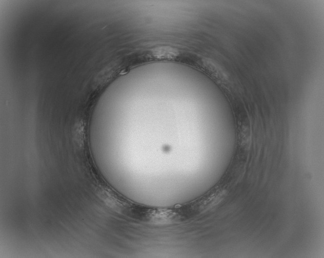 X0000073490321200608140849