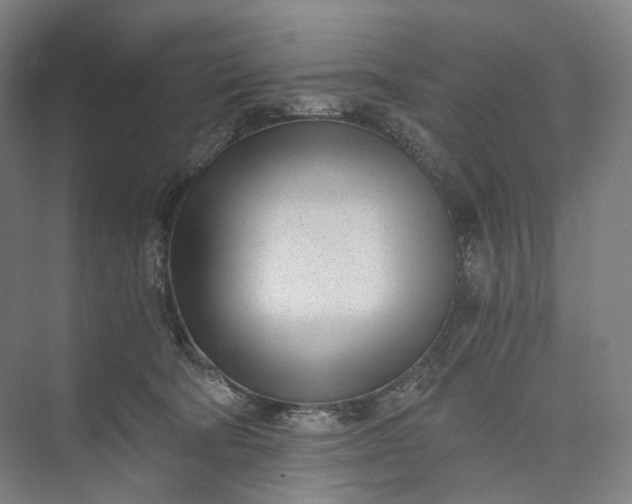 X0000073490322200608140849