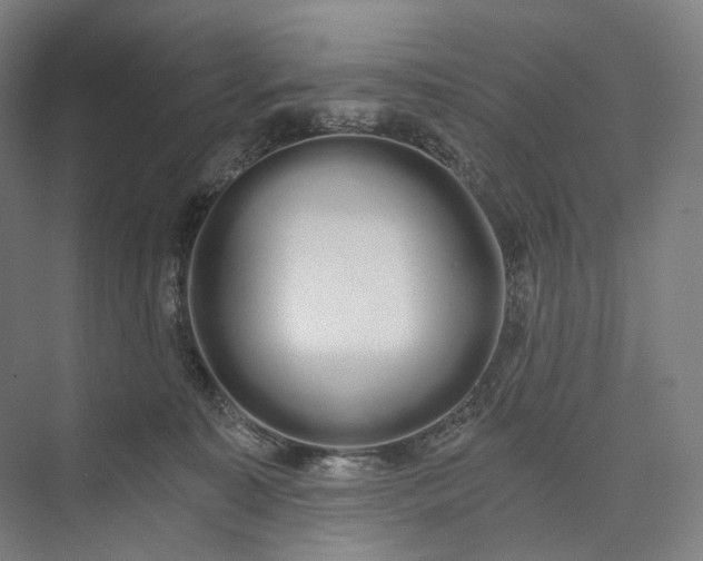 X0000073490323200608140849