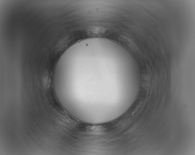 X0000073490324200608140849