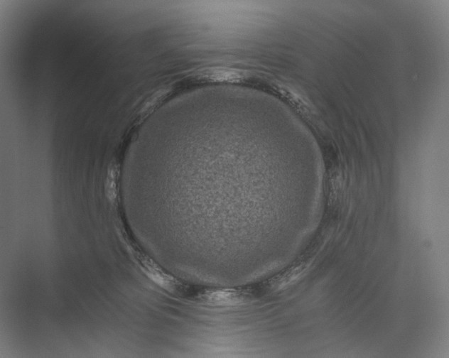 X0000073490325200608140849