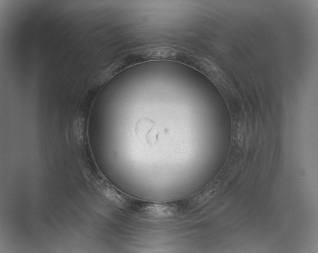 X0000073490326200608140849