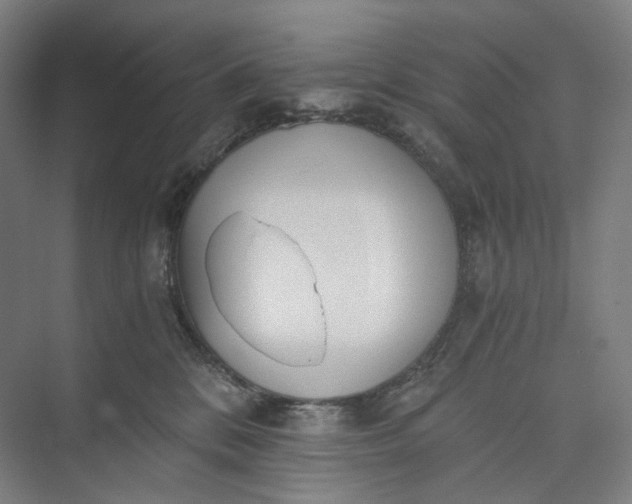 X0000073490328200608140849