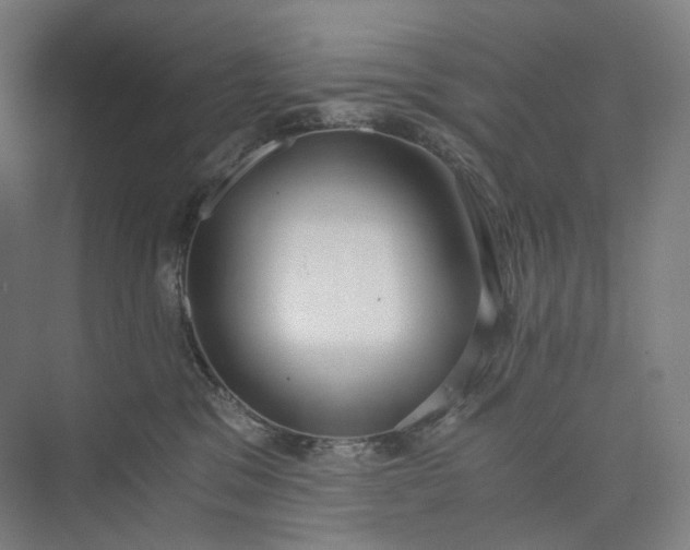 X0000073490329200608140849