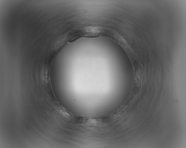 X0000073490330200608140849