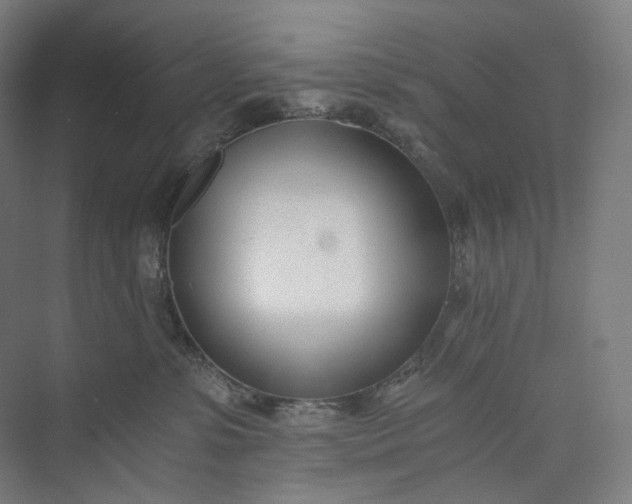 X0000073490331200608140849