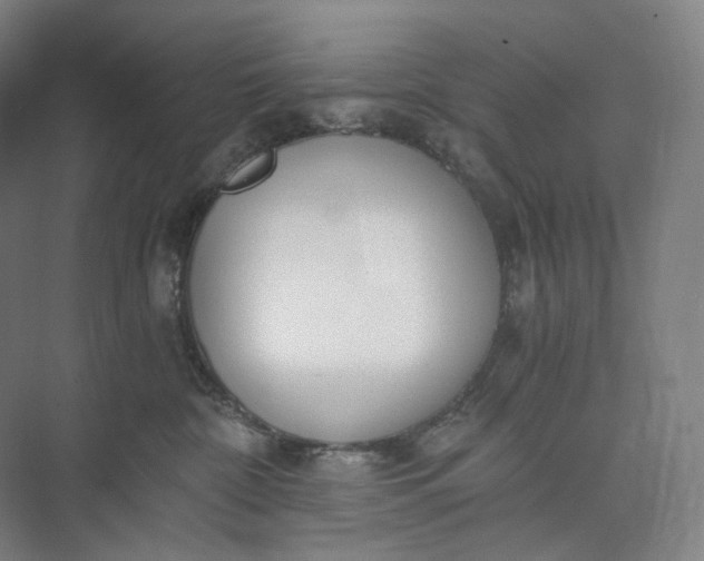 X0000073490332200608140848