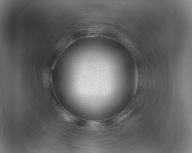 X0000073490333200608140848