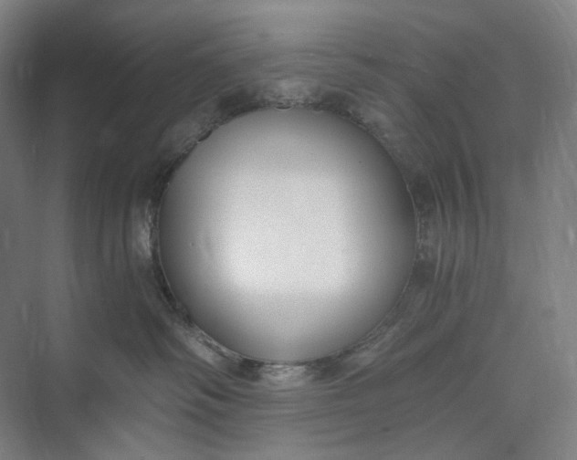 X0000073490334200608140848