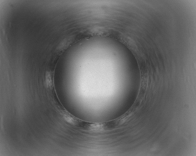 X0000073490335200608140848