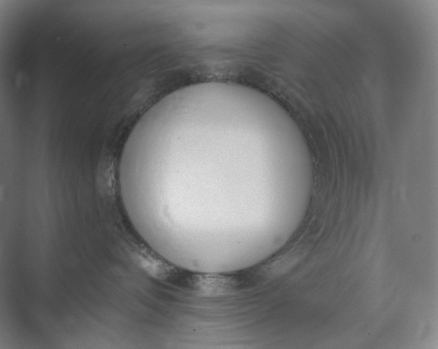 X0000073490336200608140848