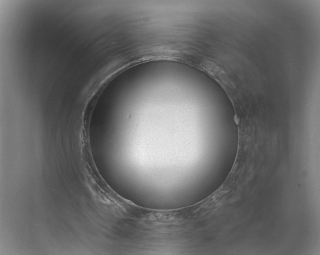 X0000073490338200608140848