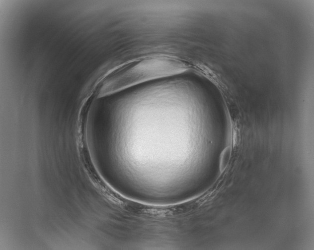 X0000073490339200608140848