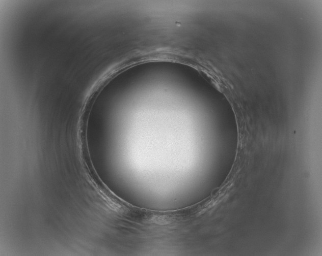 X0000073490341200608140848