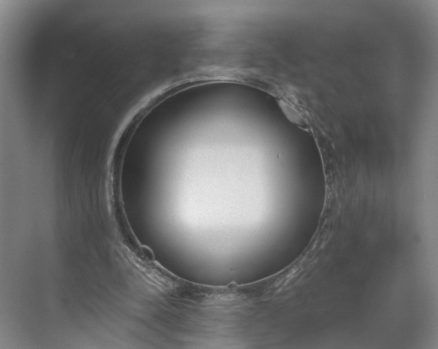 X0000073490342200608140848