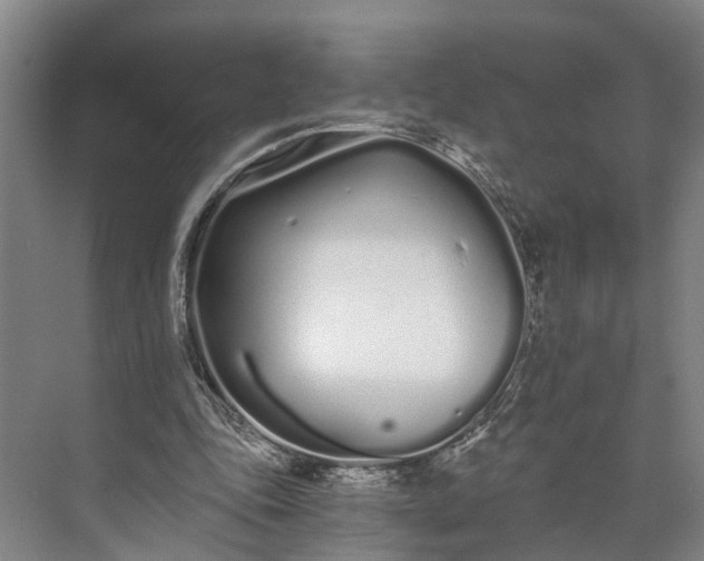 X0000073490343200608140848