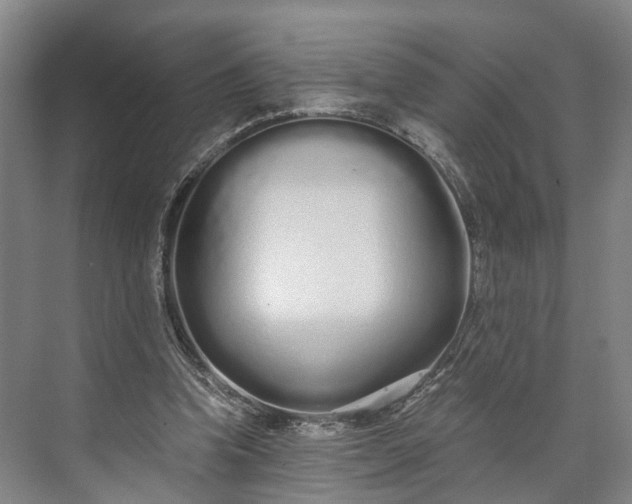 X0000073490346200608140848