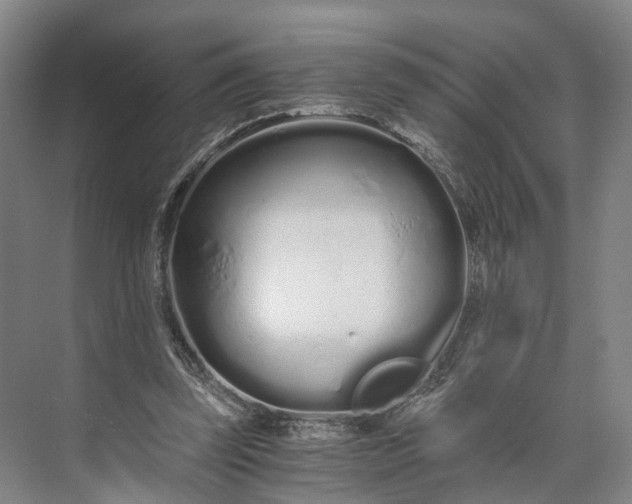 X0000073490347200608140848