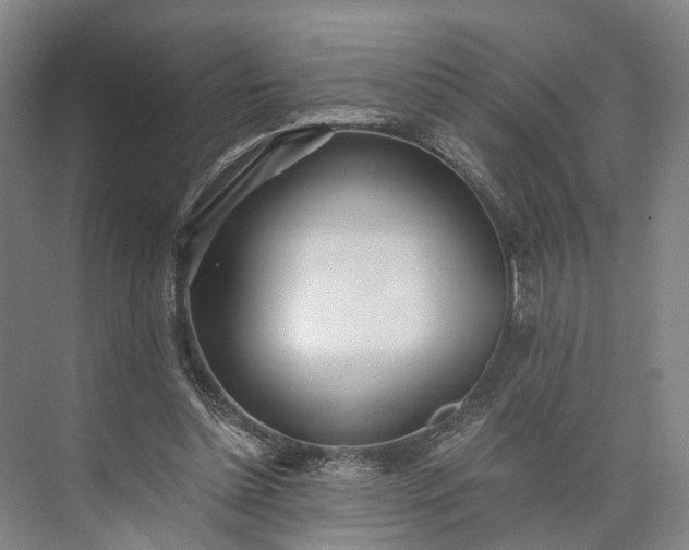 X0000073490348200608140848