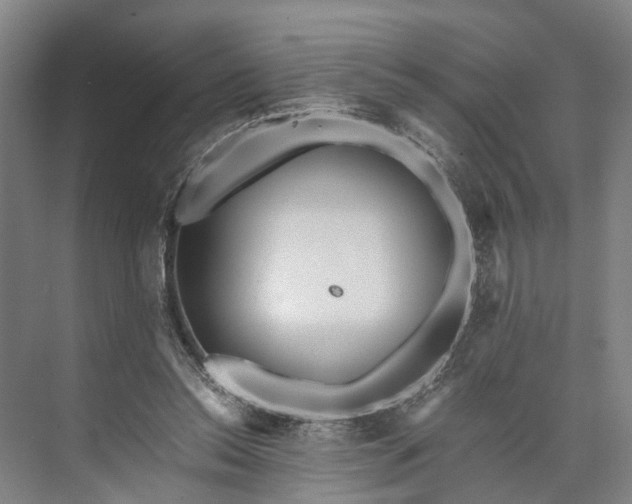 X0000073490350200608140848