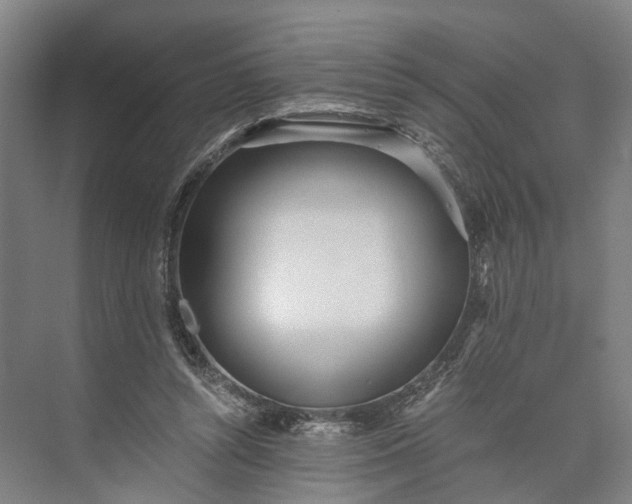 X0000073490352200608140848