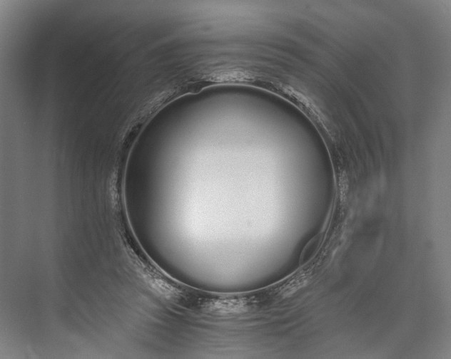 X0000073490353200608140848