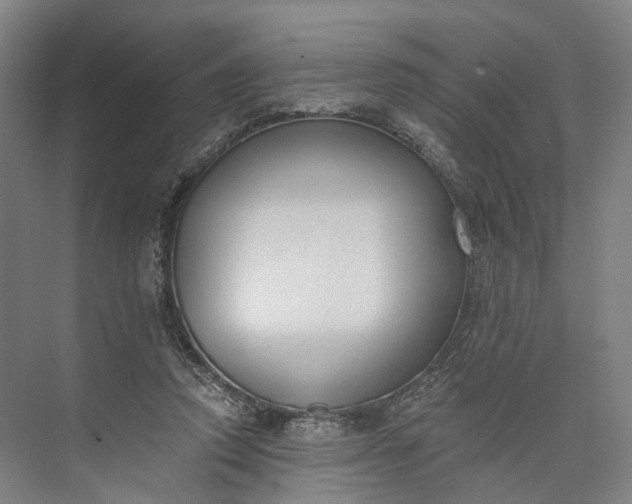 X0000073490354200608140848