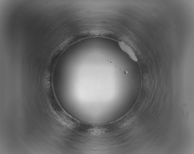 X0000073490356200608140848