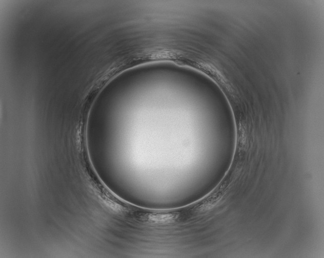 X0000073490357200608140848