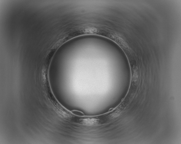 X0000073490363200608140848