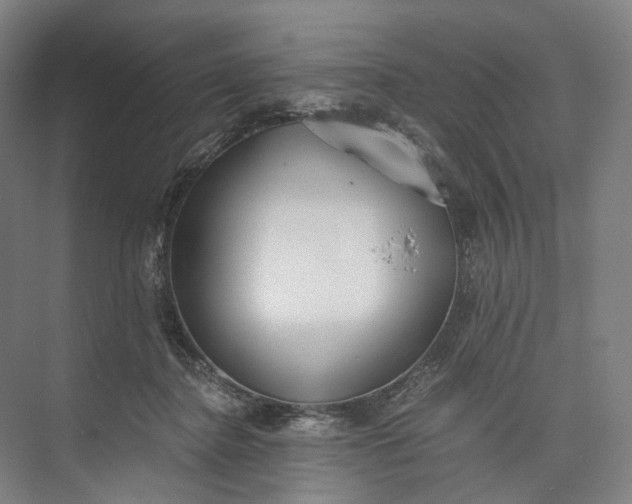 X0000073490364200608140848