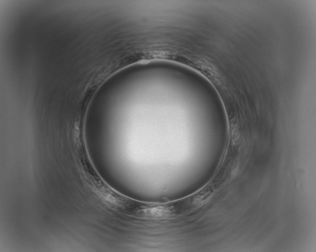 X0000073490365200608140848