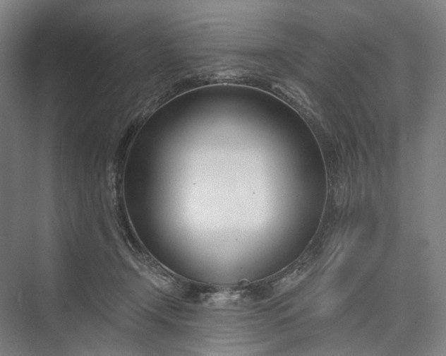 X0000073490366200608140848