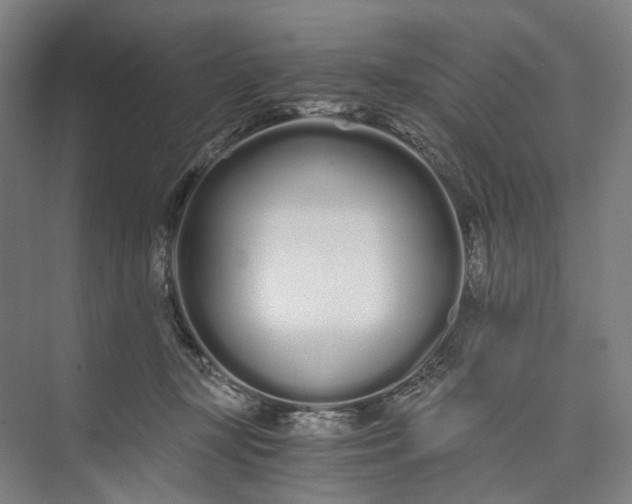 X0000073490367200608140848