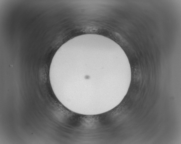 X0000073490370200608140848